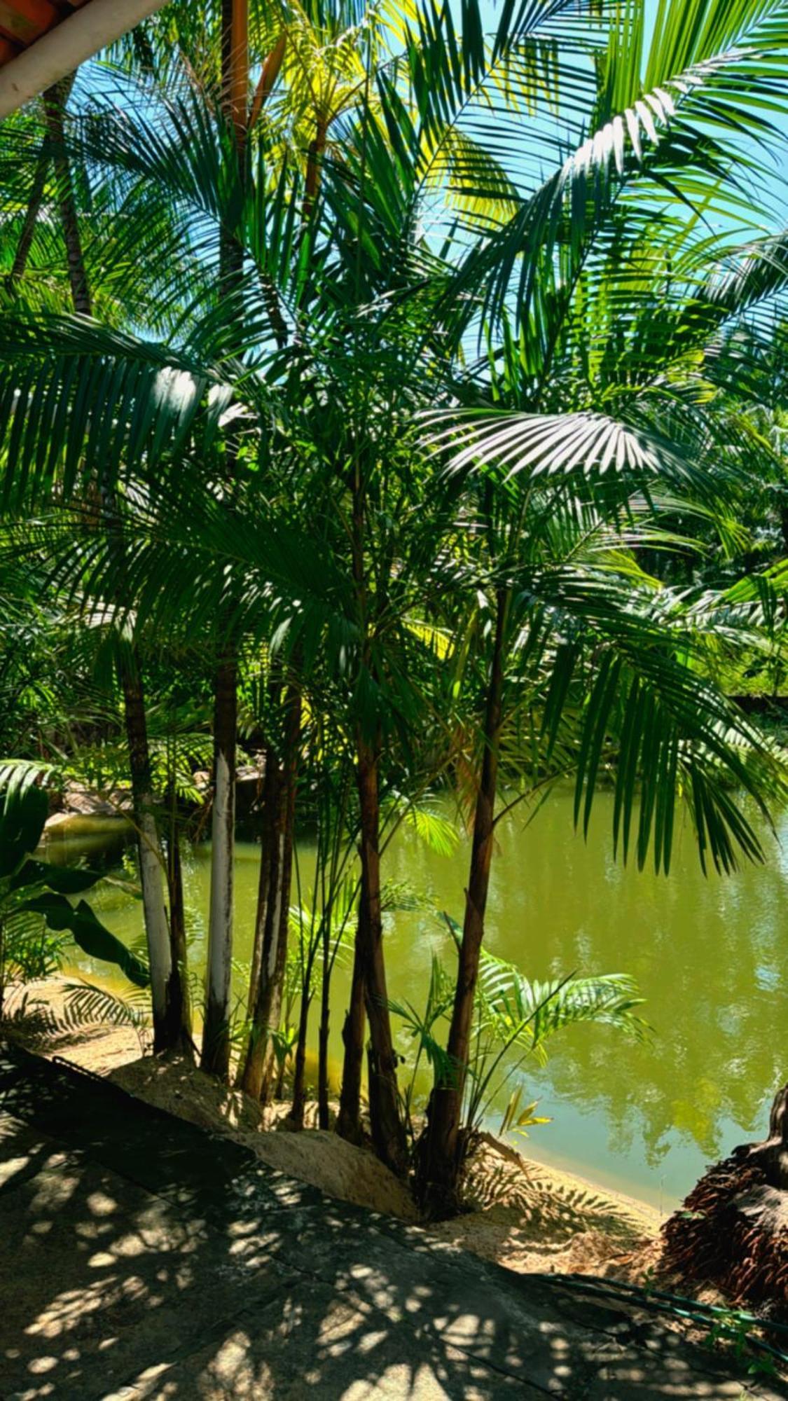Pousada Beira Rio Barrerinhas Hotel Barreirinhas Kültér fotó