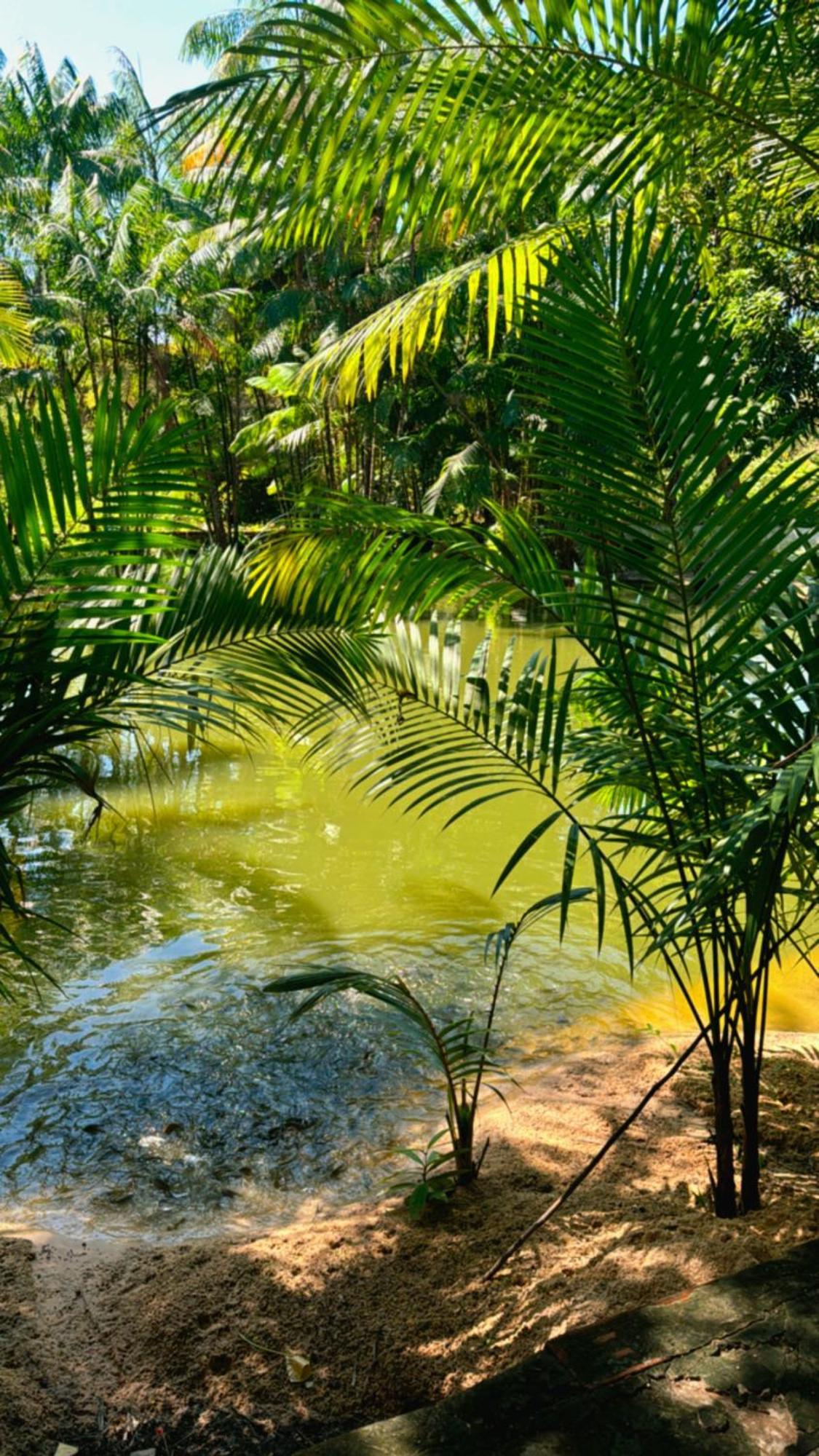 Pousada Beira Rio Barrerinhas Hotel Barreirinhas Kültér fotó