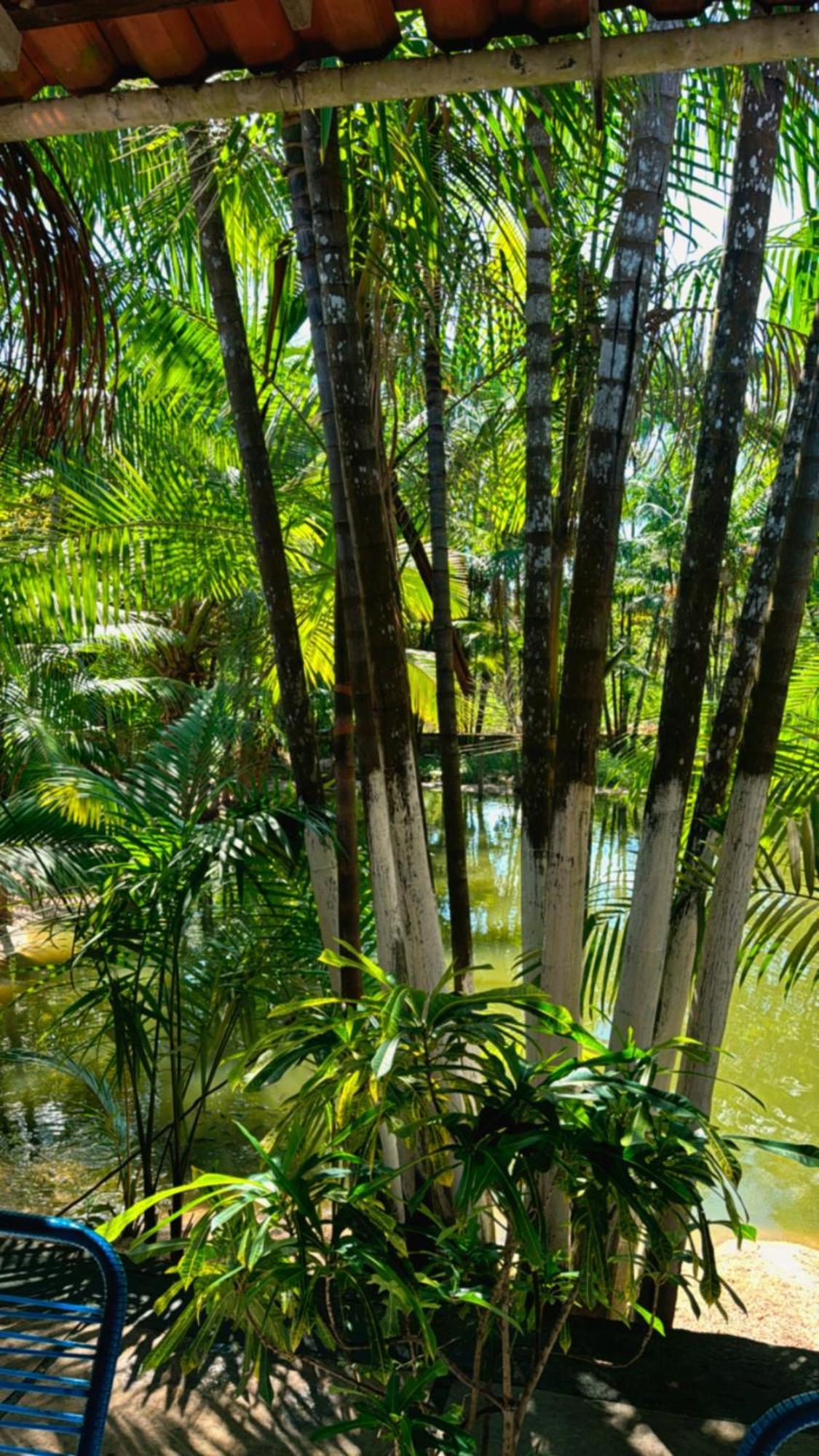 Pousada Beira Rio Barrerinhas Hotel Barreirinhas Kültér fotó
